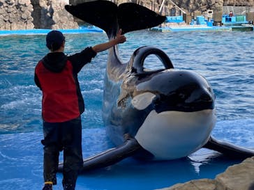 名古屋港水族館に投稿された画像（2023/3/30）