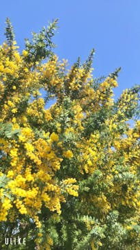 到津の森公園に投稿された画像（2023/3/30）