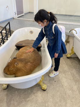 アニタッチみなとみらいに投稿された画像（2023/3/30）