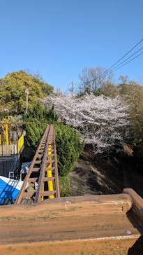 みろくの里に投稿された画像（2023/3/30）