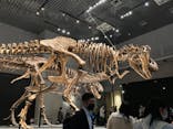 特別展「恐竜博2023」に投稿された画像（2023/3/30）