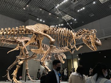 特別展「恐竜博2023」に投稿された画像（2023/3/30）
