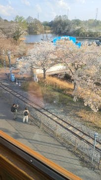 東武動物公園に投稿された画像（2023/3/30）