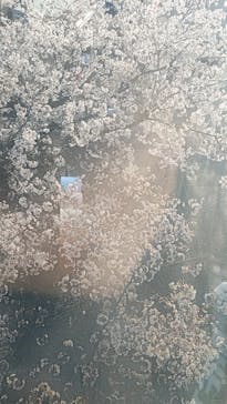 東武動物公園に投稿された画像（2023/3/30）