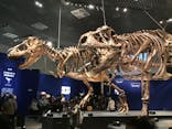 特別展「恐竜博2023」に投稿された画像（2023/3/30）