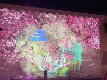 『NAKED FLOWERS 2023 桜 世界遺産・二条城』に投稿された画像（2023/3/30）