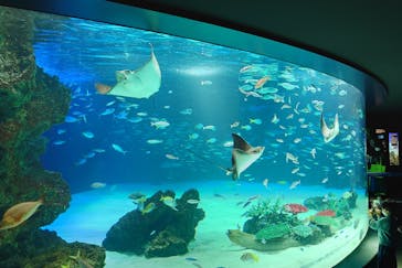 サンシャイン水族館に投稿された画像（2023/3/30）