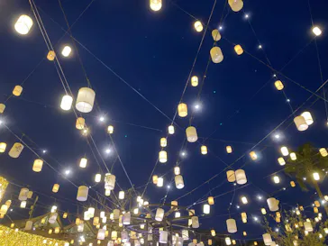 ひらかたパークに投稿された画像（2023/3/30）