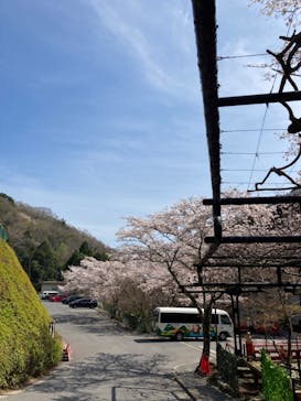 アソビュー株式会社　150881に投稿された画像（2023/3/30）