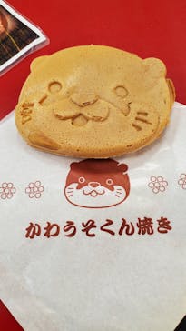 ゼロ距離水族館 伊勢シーパラダイスに投稿された画像（2023/3/30）