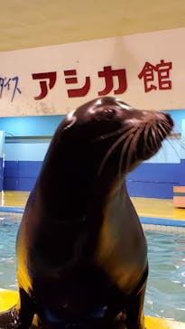 ゼロ距離水族館 伊勢シーパラダイスに投稿された画像（2023/3/30）