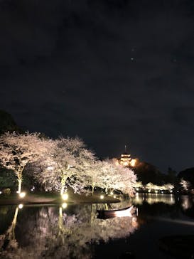 三溪園に投稿された画像（2023/3/30）