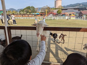 ワールド牧場に投稿された画像（2023/3/30）