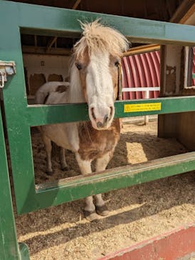 ワールド牧場に投稿された画像（2023/3/30）