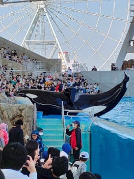 名古屋港水族館に投稿された画像（2023/3/30）