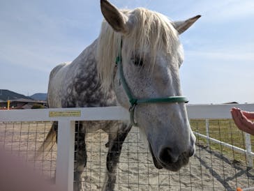 ワールド牧場に投稿された画像（2023/3/30）