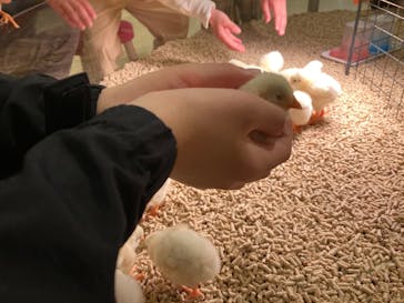 Moff animal cafe イオンモール幕張新都心店に投稿された画像（2023/3/30）