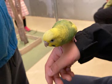 Moff animal cafe イオンモール幕張新都心店に投稿された画像（2023/3/30）