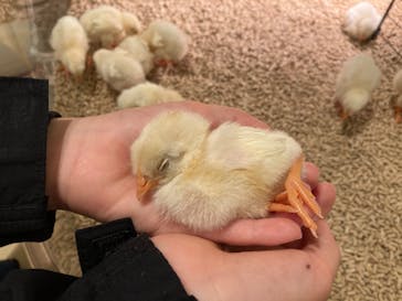 Moff animal cafe イオンモール幕張新都心店に投稿された画像（2023/3/30）