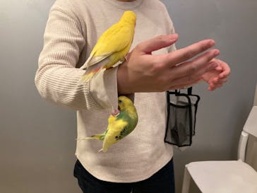 Moff animal cafe イオンモール幕張新都心店に投稿された画像（2023/3/30）