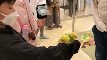 Moff animal cafe イオンモール幕張新都心店に投稿された画像（2023/3/30）