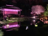 『NAKED FLOWERS 2023 桜 世界遺産・二条城』に投稿された画像（2023/3/30）