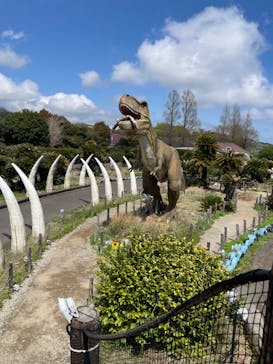 伊豆ぐらんぱる公園に投稿された画像（2023/3/30）