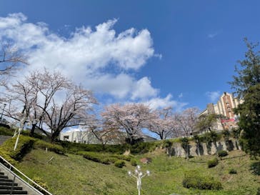 西武園ゆうえんちに投稿された画像（2023/3/30）