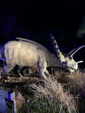 伊豆ぐらんぱる公園に投稿された画像（2023/3/30）