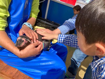 南知多ビーチランド＆南知多おもちゃ王国に投稿された画像（2023/3/30）