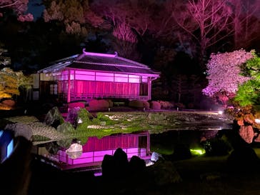 『NAKED FLOWERS 2023 桜 世界遺産・二条城』に投稿された画像（2023/3/30）