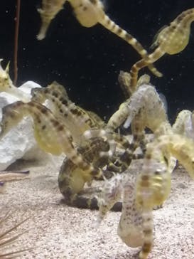 株式会社Gに投稿された画像（2023/3/30）