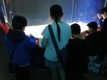 株式会社Gに投稿された画像（2023/3/30）