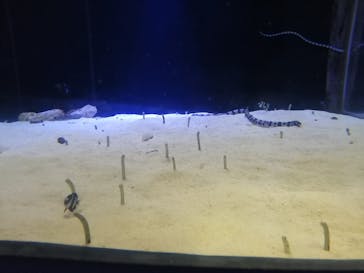 株式会社Gに投稿された画像（2023/3/30）