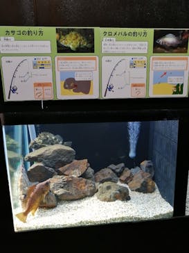 株式会社Gに投稿された画像（2023/3/30）