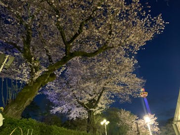 西武園ゆうえんちに投稿された画像（2023/3/30）