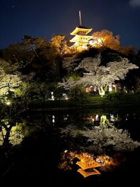 三溪園に投稿された画像（2023/3/30）