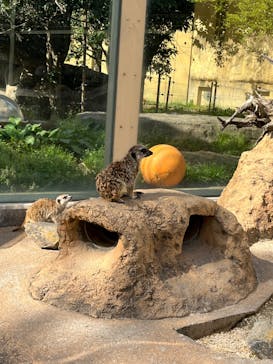 東武動物公園に投稿された画像（2023/3/30）