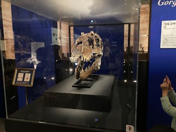 特別展「恐竜博2023」に投稿された画像（2023/3/31）