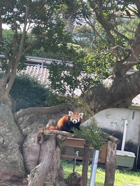 熱川バナナワニ園に投稿された画像（2023/3/31）