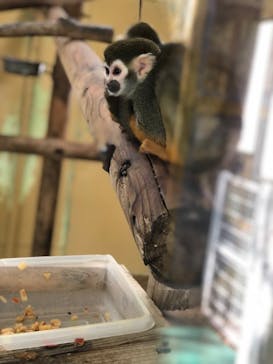 東武動物公園に投稿された画像（2023/3/31）