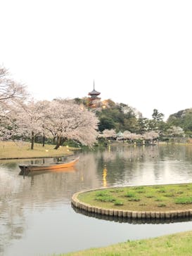 三溪園に投稿された画像（2023/3/31）