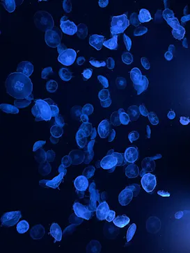 すみだ水族館に投稿された画像（2023/3/31）