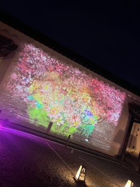 『NAKED FLOWERS 2023 桜 世界遺産・二条城』に投稿された画像（2023/3/31）