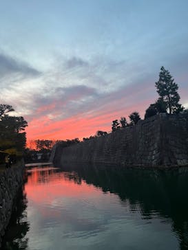 『NAKED FLOWERS 2023 桜 世界遺産・二条城』に投稿された画像（2023/3/31）