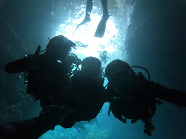 武藤潜水に投稿された画像（2023/3/31）