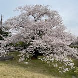 鈴鹿サーキットに投稿された画像（2023/3/31）