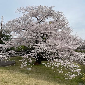 鈴鹿サーキットに投稿された画像（2023/3/31）