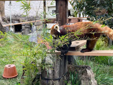 天王寺動物園に投稿された画像（2023/3/31）