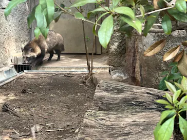 天王寺動物園に投稿された画像（2023/3/31）